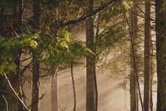 1.-Denis-Surik-SOS-dopravna-Martin-Priekopa